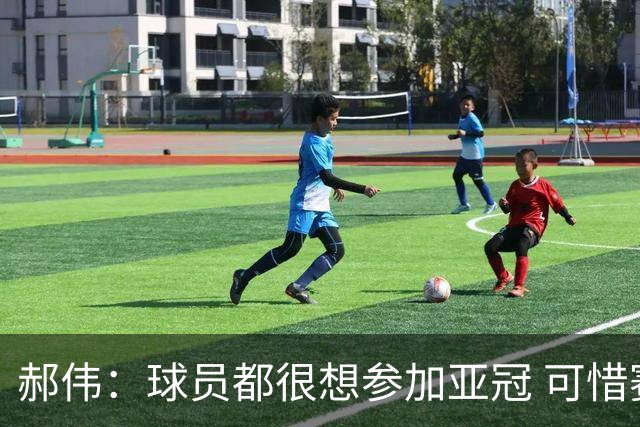 郝伟：球员都很想参加亚冠 可惜赛程跟联赛冲突